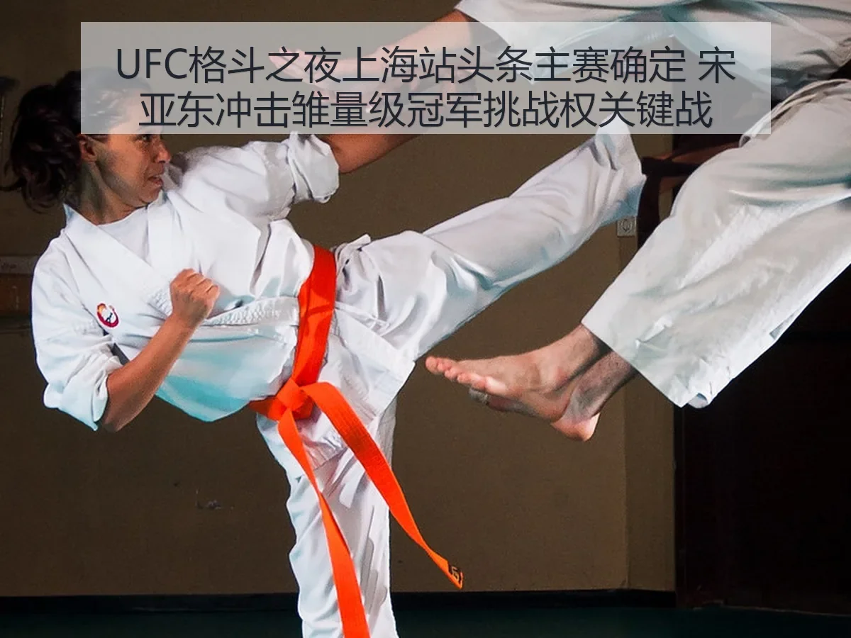 UFC格斗之夜上海站头条主赛确定 宋亚东冲击雏量级冠军挑战权关键战