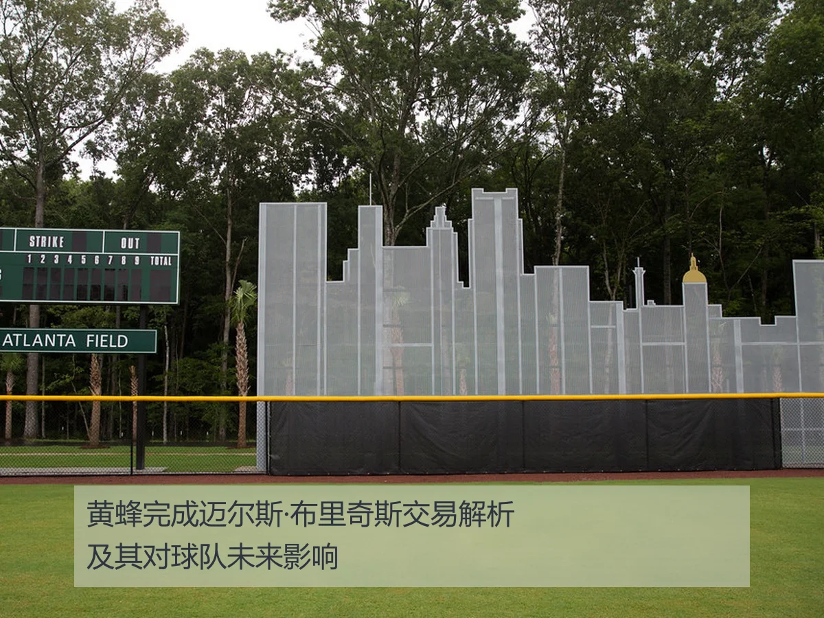 黄蜂完成迈尔斯·布里奇斯交易解析及其对球队未来影响